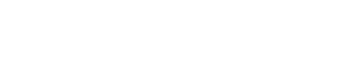 Software Development Services